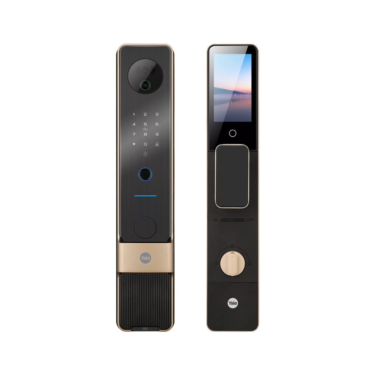Remote Smart Door Locks